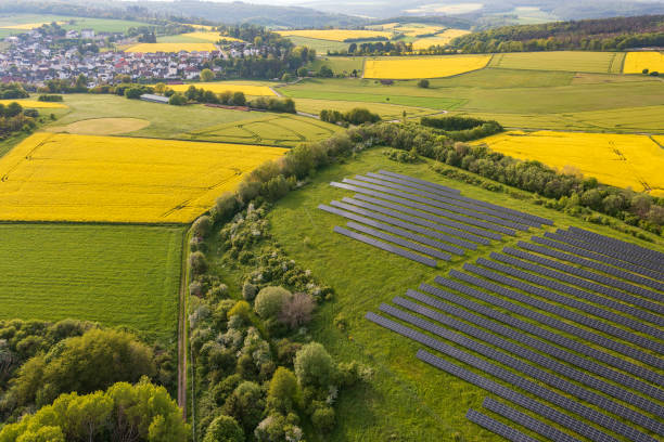 blooming rapeseed fields in the taunus/germany - agriculture beauty in nature flower blossom imagens e fotografias de stock