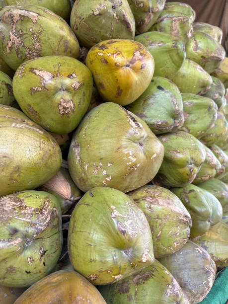 istock lots of coconut in the shop image 1492636903