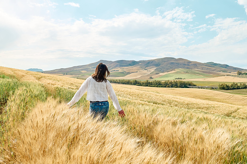 Rear view woman walking in golden wheat field in hot summer sun and blue sky with white clouds with mountains hill landscape in background.