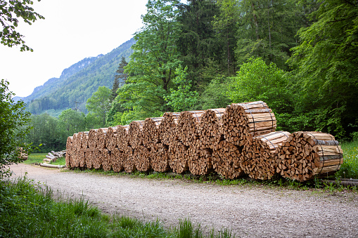 Packages of chopped wood in the forest by the footpath, prepared in a sawmill for burning in a freestanding wood stove or in a fireplace. Sawmill in the mountains, log wood produce.