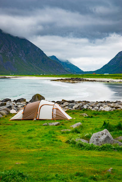 istock Tent on sea shore, Lofoten Norway 1492639756
