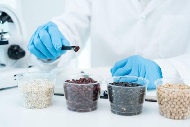 istock Scientist check chemical whole grains residues in laboratory. Control experts inspect the concentration of chemical residues. hazards, standard, prohibited substances, contaminate, Microbiologist 1492642802