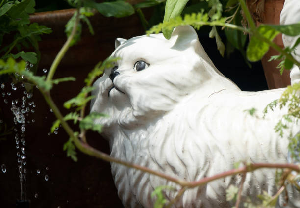 istock White ceramic cat garden ornament by the bird bath 1492643566