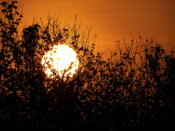 istock The sun shines in the white cloudy sky 1492649152