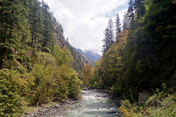 istock Tons river flowing en route Har Ki Doon Valley in the Himalayas, Uttarakhand, India 1492649333