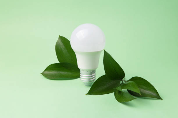 istock Led bulb with fresh green leaves,green energy concept. 1492649814