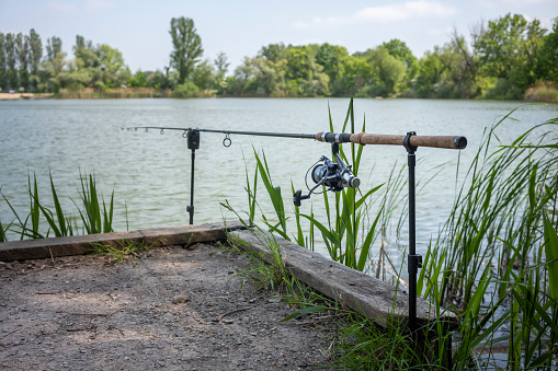 A single fishing rod on a lake shore with reeds at day in summer.