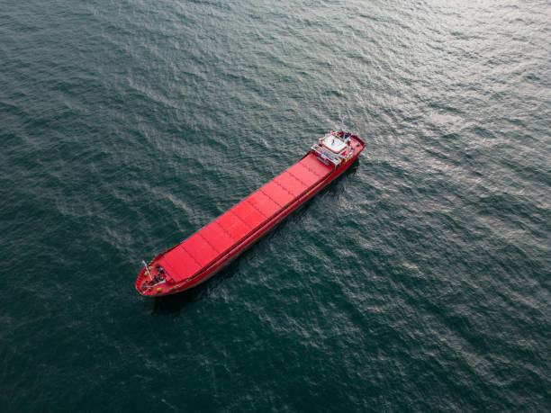istock Aerial view of Large general cargo ship bulk carrier 1492651572