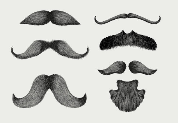 istock Set of Different styles of male realistic mustaches. Hand drawn Chevron, Dali, imperial, lampshade, handlebar, painter brush, classic relaxed, english, thick thin man mustaches. Vector illustration. 1492651964