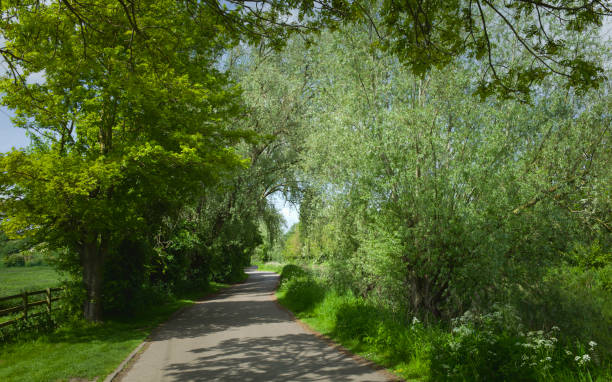 istock Road flanked by the beck and Figham pasture. Beverley, UK. 1492652736