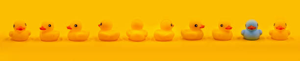 istock Yellow rubber ducks and one turquoise in a row 1492653142
