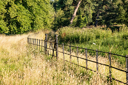 Countryside fence lovely summer sunny day Surrey England Europe