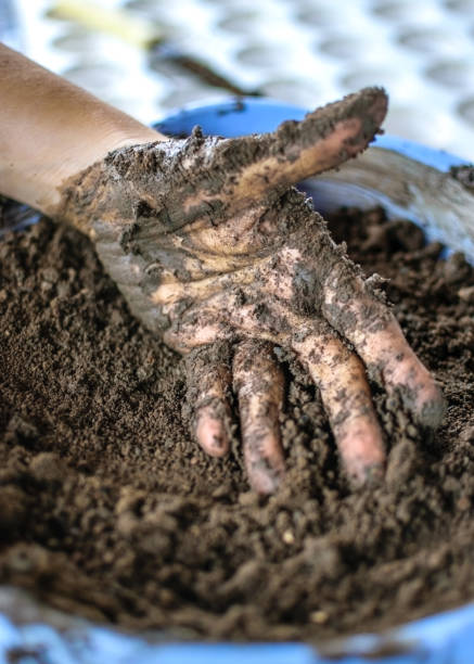 istock Opened Hand with wet soil. Earth day concept 1492658083