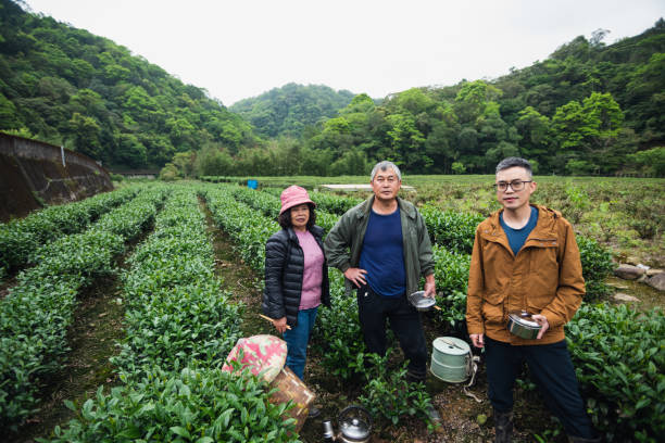 istock Tea farmer family having lunch break in tea garden 1492659576