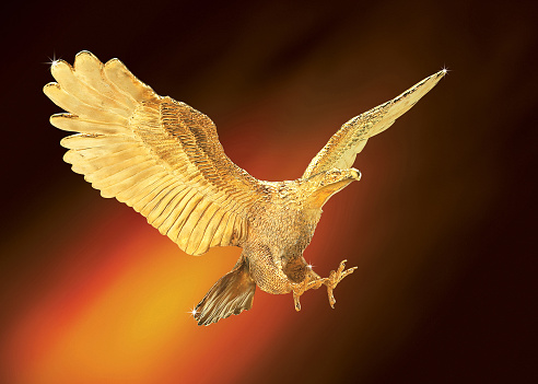 Golden eagle soaring against dark background