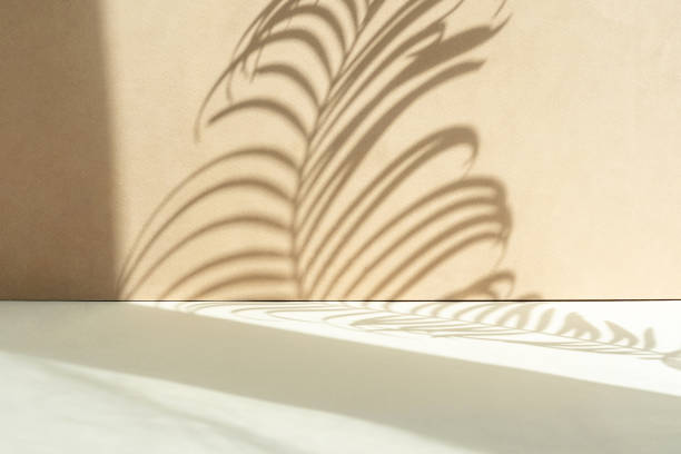 istock Tropical leaf shadow blank background composition for product presentation. The background is beige. Nude Studio Minimal showcase. 1492660423