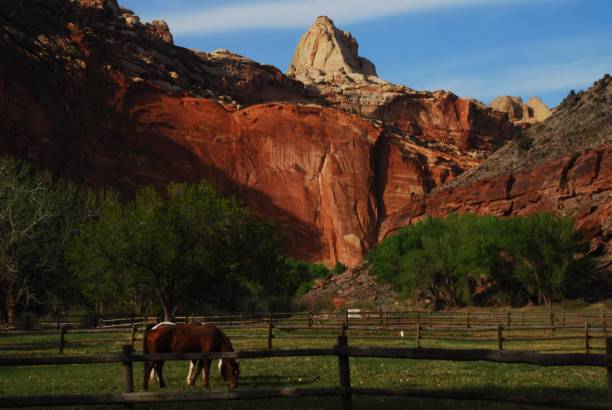 istock On The Road, Wild West 1492660526