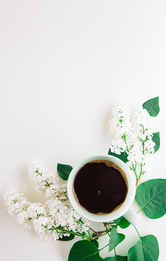 High angle view of black coffee in pastel green cup surrounded with green leaves and white lilac flowers on white background as copy space.