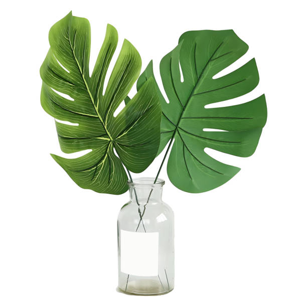 istock monstera leaves in glass bottle isolated on white background with clipping path 1492664591