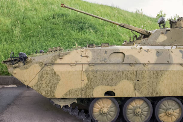 istock tank with a raised muzzle against the background of green grass close-up 1492665555