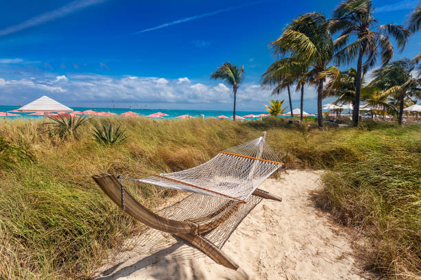 rede aninhada nas dunas - providenciales - fotografias e filmes do acervo