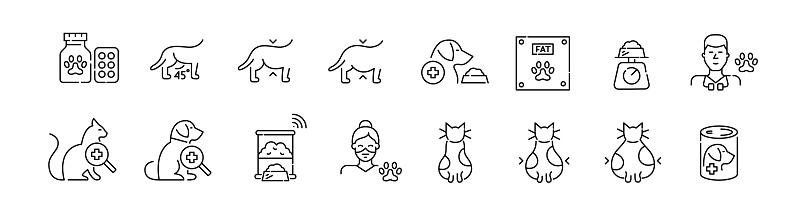 Pet obesity criteria. Veterinary healthcare, special weight loss food. Pixel perfect, editable stroke icons set