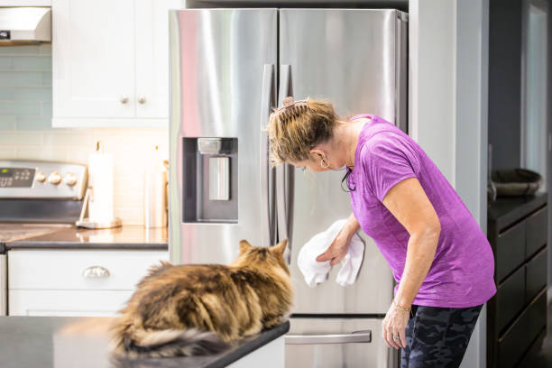 istock A woman is polishing a refrigerator while a cat watching 1492666500