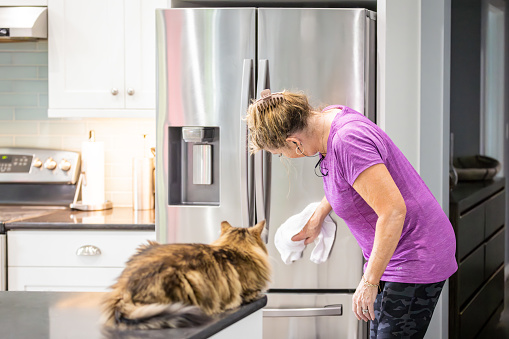 A woman is polishing a refrigerator while a tabby cat on a kitchen counter watching her