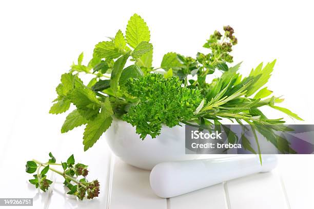 Plantas Aromáticas - Fotografias de stock e mais imagens de Alecrim - Alecrim, Alimentação Saudável, Aromaterapia