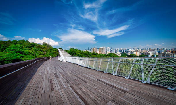 Henderson wave bridge and Singapore city Skyline on blue sky background at daytime in Singapore. Henderson wave bridge and Singapore city Skyline on blue sky background at daytime in Singapore. henderson waves stock pictures, royalty-free photos & images