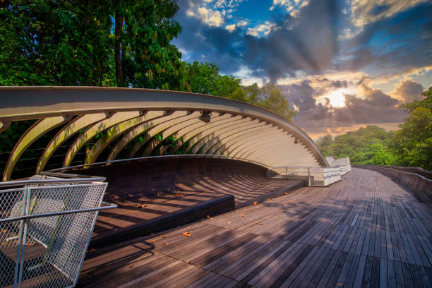 Henderson wave bridge at sunset in Singapore. Henderson wave bridge at sunset in Singapore. Henderson Wave singapore stock pictures, royalty-free photos & images