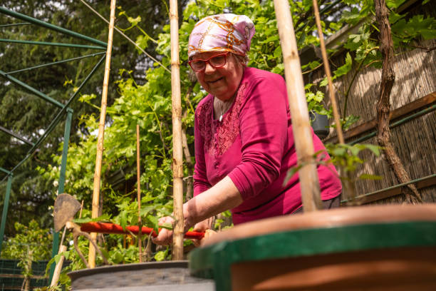 istock First and foremost, gardening is an excellent form of exercise that gets you moving 1492672245