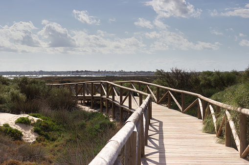Wooden bridge on the path of Punta del Boqueron next to the dunes of Camposoto beach; San Fernando; Cadiz; Andalusia; Spain.