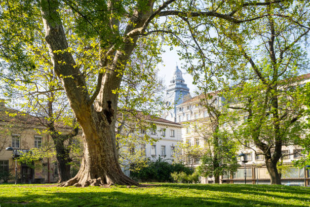 istock the Royal Garden in Sofia, Bulgaria 1492674777