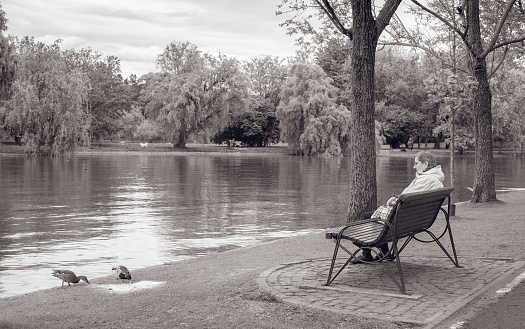 Bucharest, Romania - May 2023: Vinatage monochrome picture with a lonely senior woman sitting on a bench and looking at the ducks.