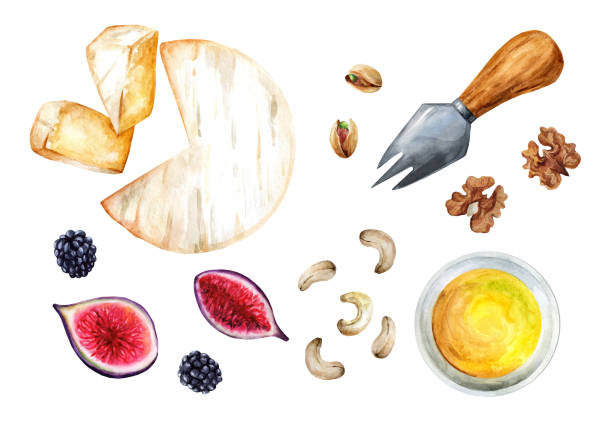 istock Brie cheese with honey, figs and nuts on a white background. Watercolor illustration 1492678175