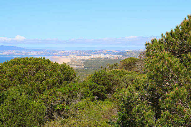 istock View over Costa da Caparica, Portugal 1492680402