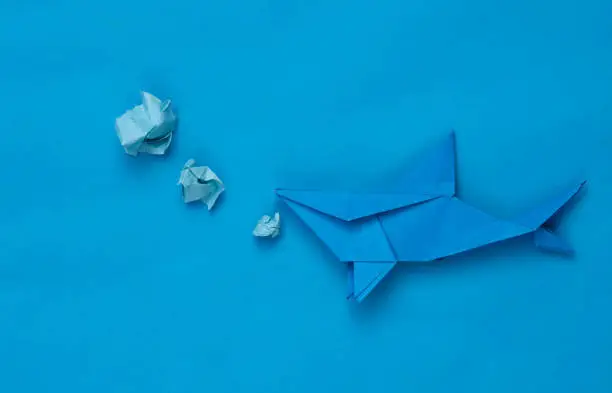 Photo of Origami shark on a blue background