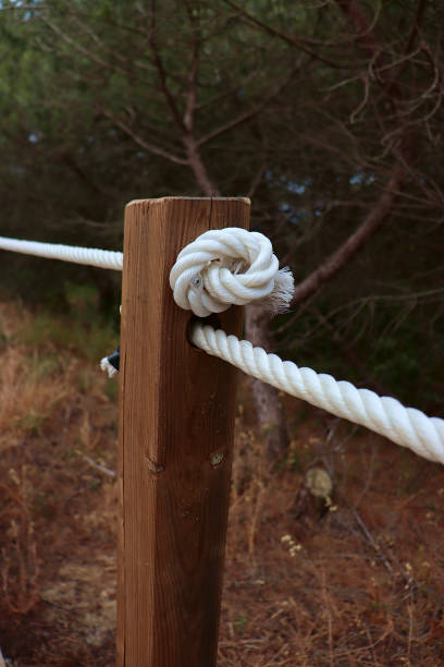 Wooden post of a boardwalk, crossed by two white ropes. One of the ropes has a knot at the end.