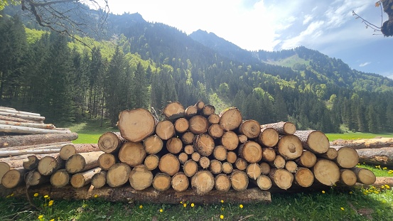 Wood in the mountains