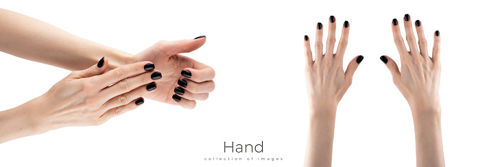 Girl demonstrates a new black color manicure isolated on white background. High quality photo