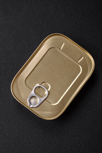 istock Tin or aluminum rectangular can of canned food with a key 1492691532
