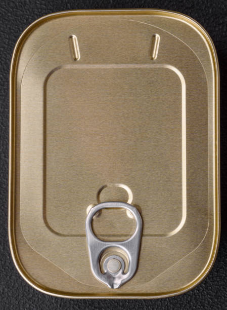 istock Tin or aluminum rectangular can of canned food with a key 1492691635