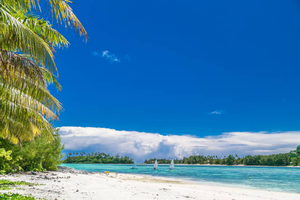 istock Tropical bay, paradise destination on the Cook Islands. 1492696717