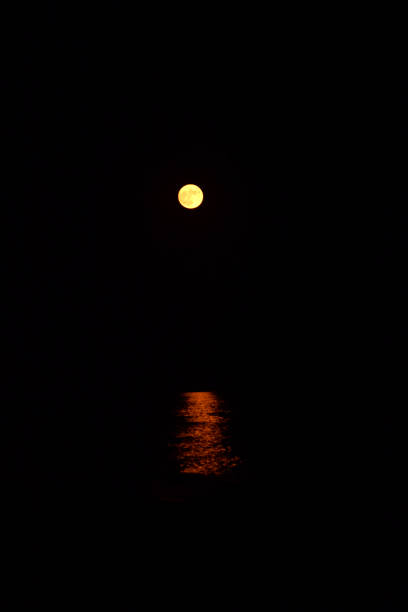 istock Vertical image of a full moon over the sea 1492703231