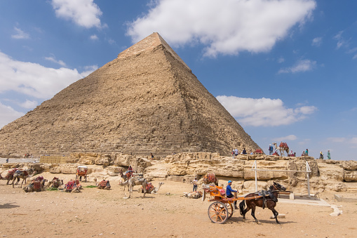 Cairo, Egypt - April 29, 2023: Camels and horse-drawn carriages next to Khafre's pyramid in Giza