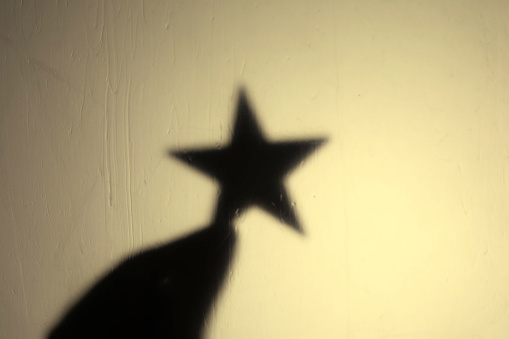 Silhouette of hand holding one star in front of yellow background. Rating and award winner concept.