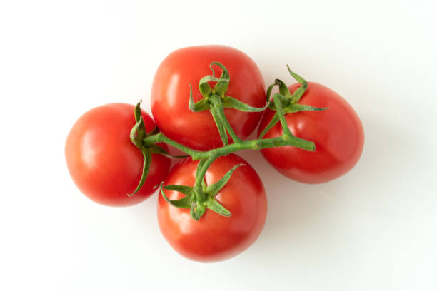 istock Fresh Red Organic Tomatoes on the Vine 1492710055