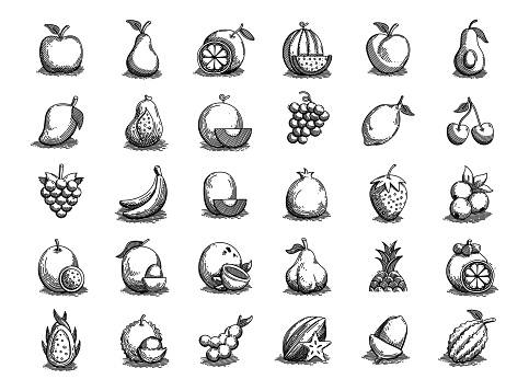 Fruits Hand Drawn Vector Doodle Line Icon Set