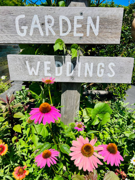 istock Garden Signs and Flowering Echinacea Plants 1492713048